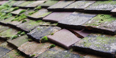 Westham roof repair costs